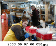 2003_06_07_00_036.jpg